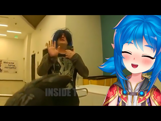 This is the best video I've ever seen