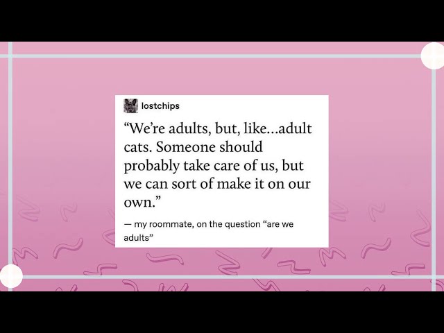 First Few Seconds On This Tumblr Video Will Strike At Your Soul (It Got Me As Well)