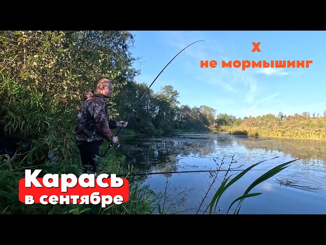Frenetic crucian carp bite on a float in September! Fishing 2026