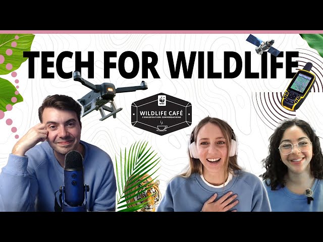 What is the role of technology in wildlife conservation? Tools, techniques, and a new frontier.