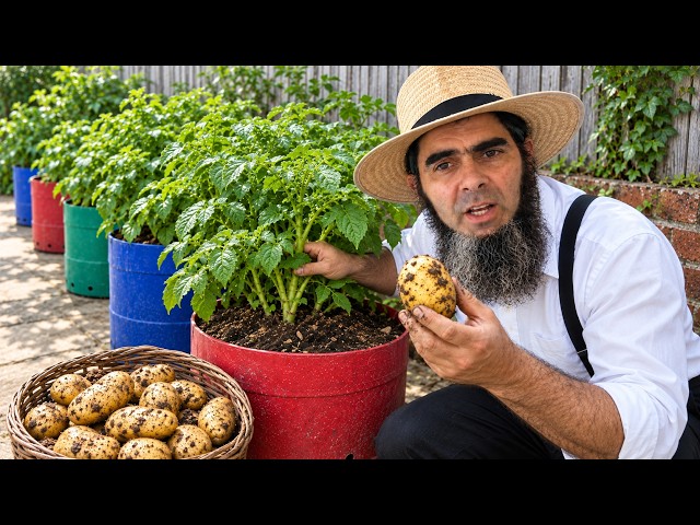 Grow HUGE Potatoes in Containers With This Easy Method