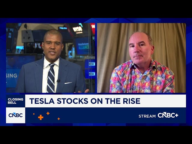Dan Ives on Tesla stocks: A big step in the right direction