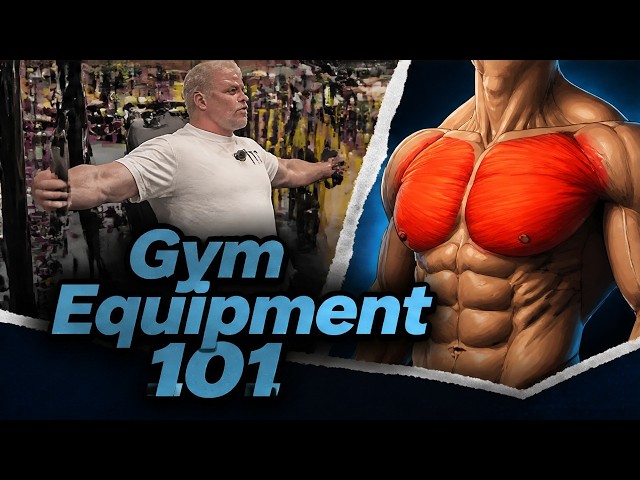 Gym Equipment 101: A Simple Guide To Form