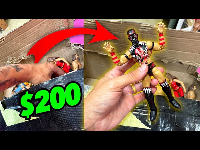 MASSIVE $200 Box Full Of WWE Action Figures!
