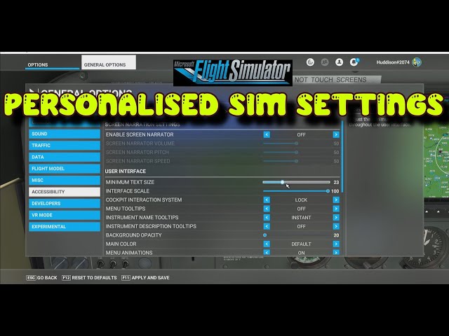 FS2020: Sim Settings, Tips & Tricks To Personalise Your Flight SIm Experience - Xbox & PC!