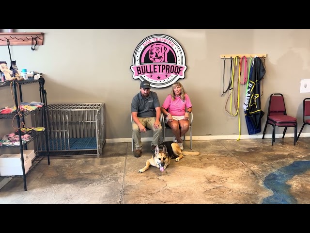 Bulletproof Dog Training Board & Train Testimonial