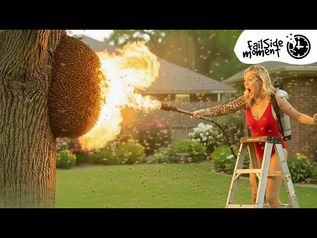 TOTAL IDIOTS AT WORK #256 | Instant Regret Fails Compilation 2026 | Best of the Month