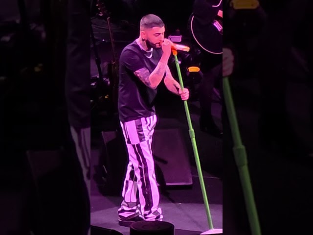 Zayn - Argentina Live 2026 #movistararena #pop #rock #dance #britpop #zayn #zainjavaddmalik