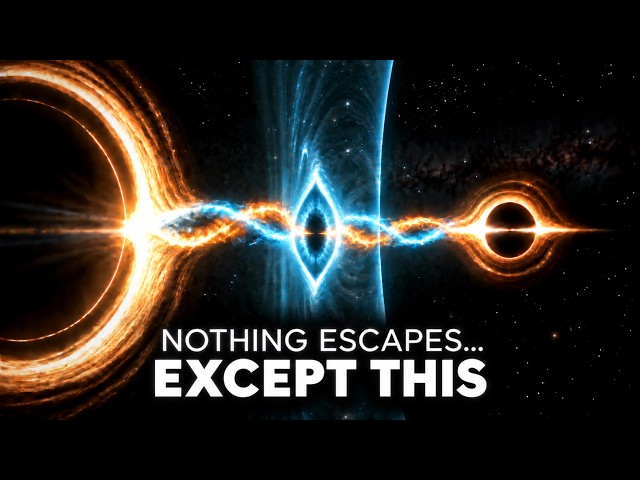 Can Black Holes Survive Quantum Entanglement? | Quantum Physics Documentary 2026
