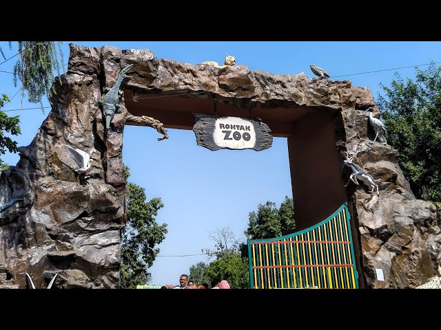 रोहतक चिड़ियाघर की सैर 🦁🐯 | पूरा Zoo Tour | आज का मजेदार Vlogमेरी पसंद  