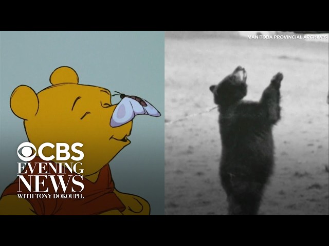 The real story behind Winnie the Pooh, born in the shadow of WWI