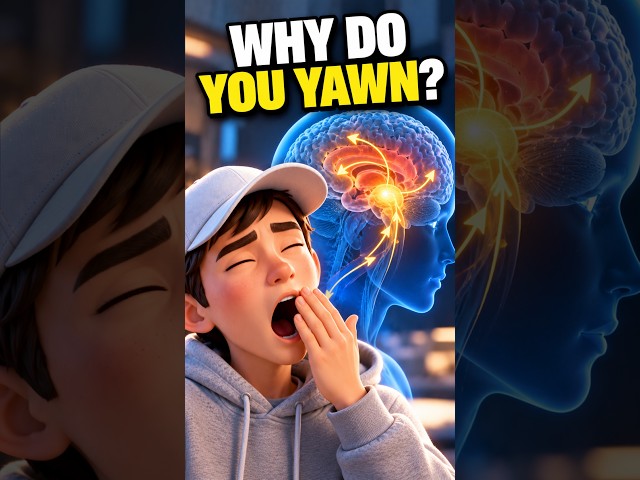 This Is Why You Yawn (It's Not Just Boredom) 🤯 #science #brain #shorts