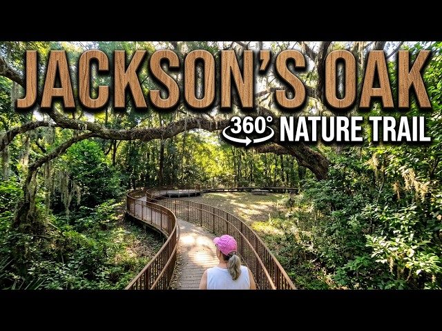 360° Walk Through D’Olive Park & Jackson’s Oak  Daphne Alabama Nature Trail VR Experience