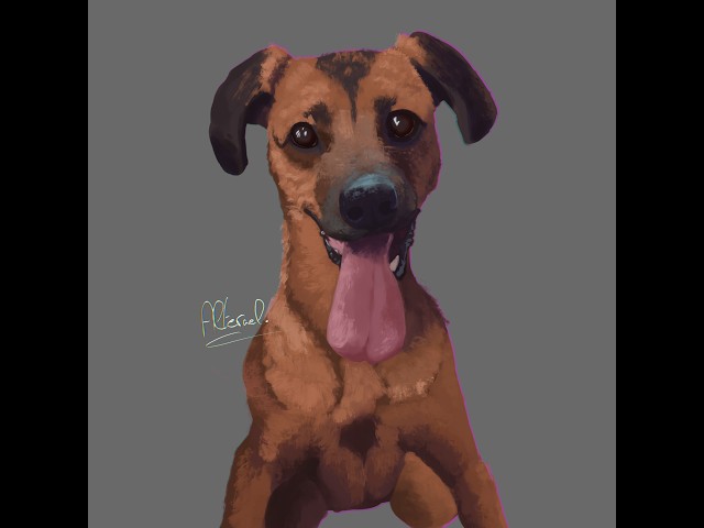 Drawing a dog in Procreate | Speedpaint