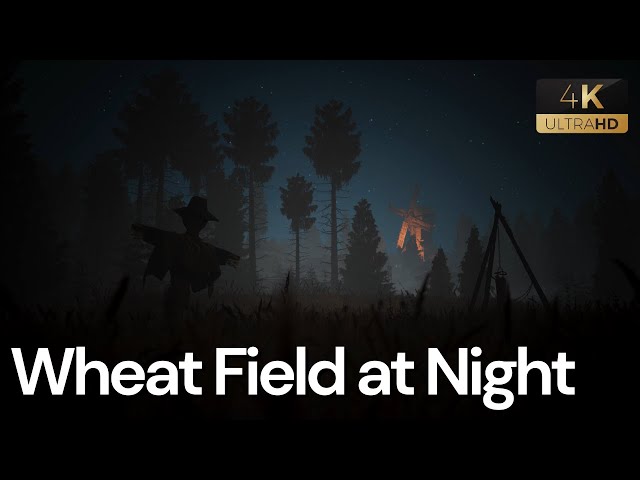 Wheat Field at Night Ambience 4K Live Wallpaper