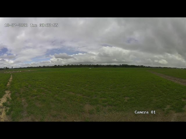 Ingham Aerodrome  Live Stream