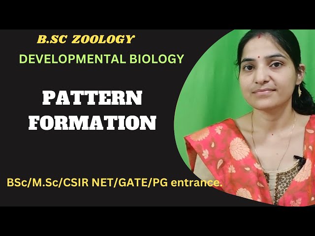 Pattern Formation in Developmental biology b.sc 3rd year||Developmental biology||#zoology