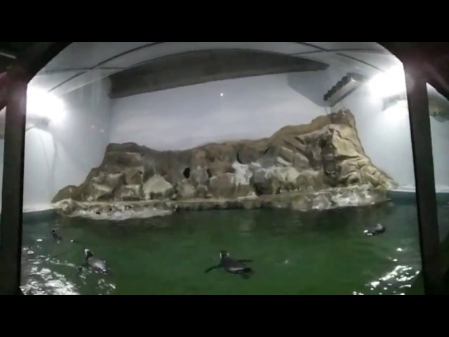 AQUARIO PARANAGUA 360º