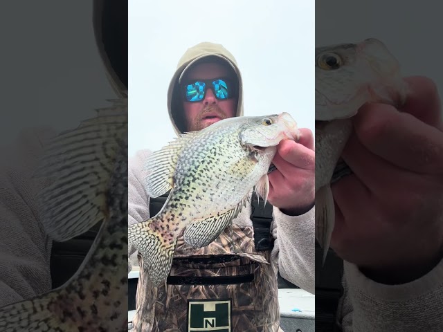Cold Front Crappies EXPOSED… most people get this WRONG ❄️🎣