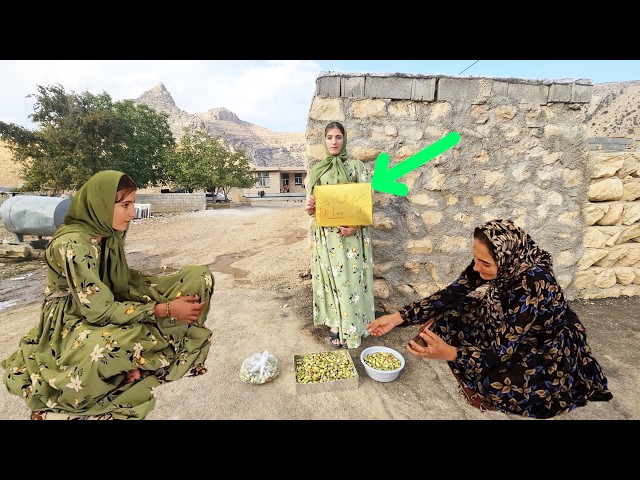 ۲۳ اکتبر ۲۰۲۶