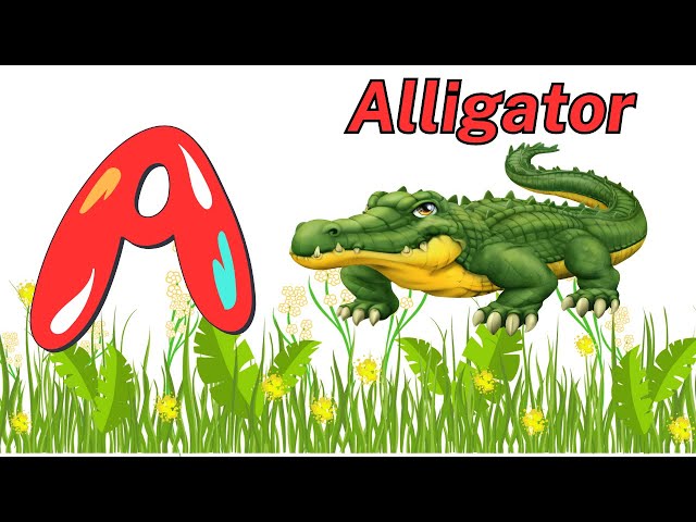 Learning Alphabet Letters and Basic English Vocabulary | ABC Learning for Toddlers & Preschoolers!