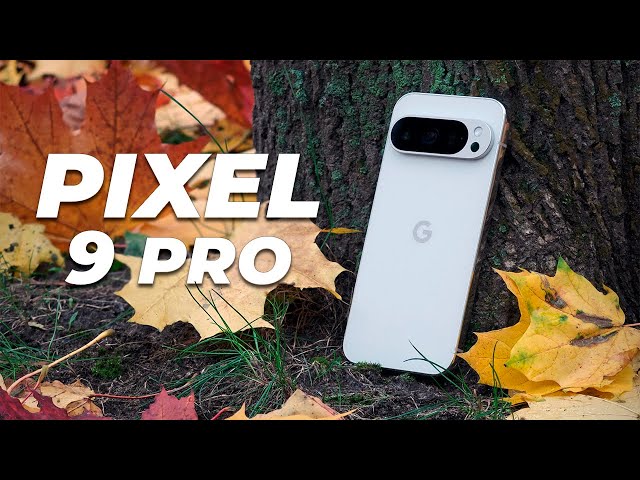 Pixel 9 Pro - Love and Hate | Dual-User Experience