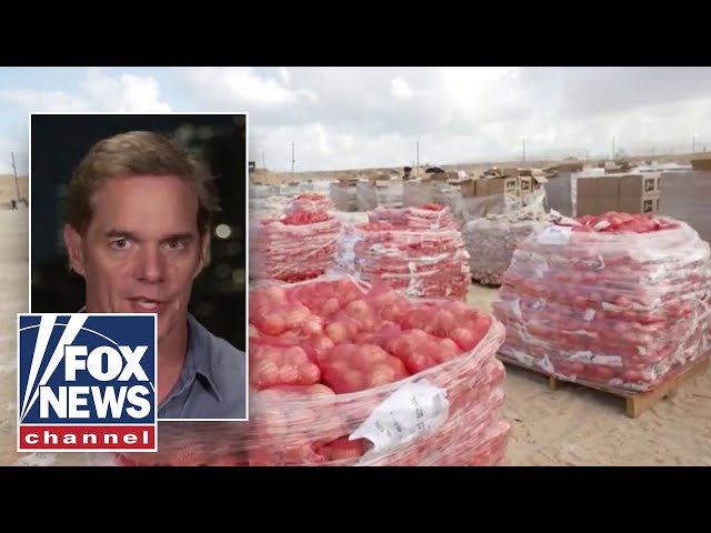 'UNDERSTATEMENT': Distribution of Gaza aid is a 'very difficult process,' Bill Hemmer says