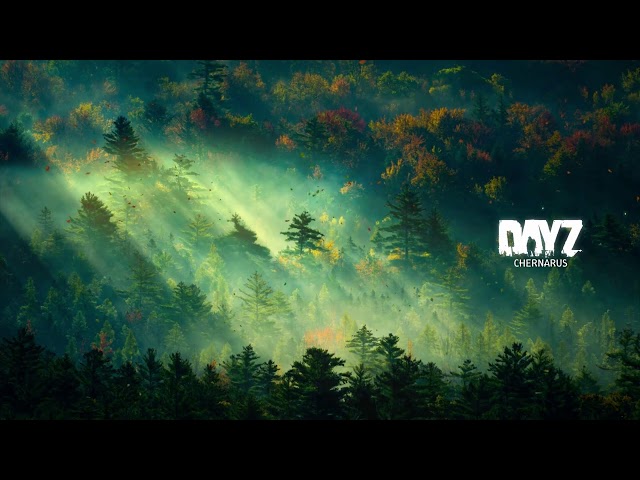 Giving New DLC To Random Survivors - DayZ 1440p