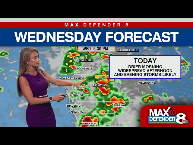 Wednesday Tampa Forecast | Max Defender 8
