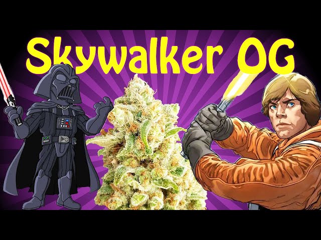 Skywalker OG Kush Strain Review | 1859
