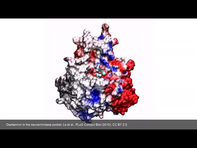 Reverse Screen: Given One Molecule, Which Proteins Does It Bind? 40 Hours of Docking to 108 Seconds