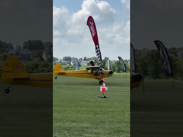 85 Years Old and Still Flying Strong! 1941 Piper J-3 Cub STOL Takeoff #aeroplane