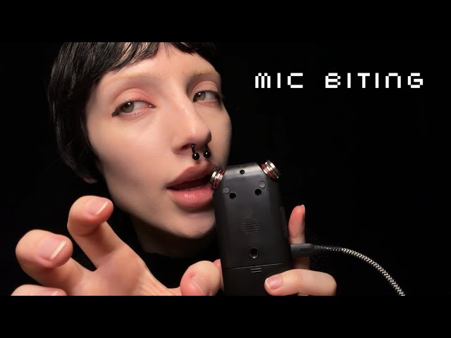Tascam Mic Biting 𓂃 ࣪⋆💿˚ ༘  just like old times