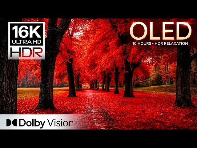 🌿 MOST BEAUTIFUL VIEWS | 16K HDR OLED Visual Masterpiece | Dolby Vision (For 4K/8K TV)