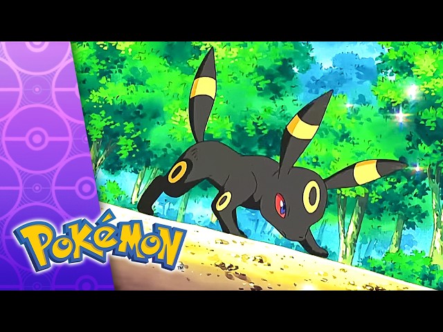 Ill-Will Hunting! | POKÉMON FULL EPISODE 45 | Season 10