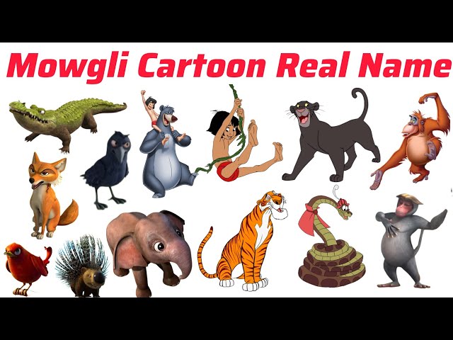 Mowgli Cartoon Real Names | Preschool Picture and Sound Learning | Jungle Book for Kids