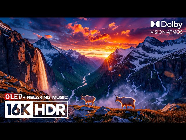 OLED Display Test Video | 16K HDR Dolby Vision 60FPS | 4K Video/8K Ultra HD TV