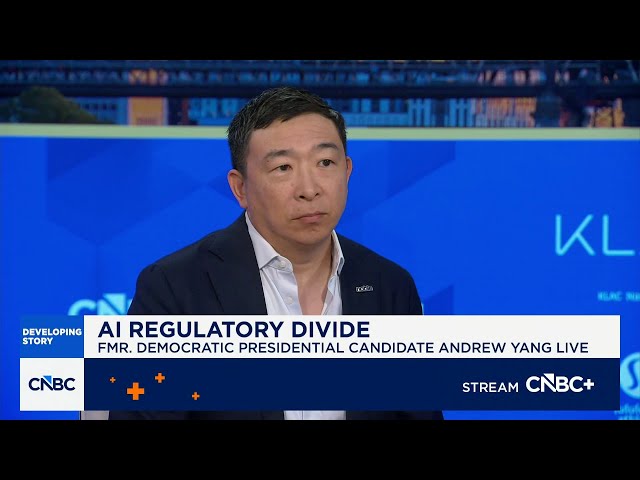 Andrew Yang on AI safety issues: The fear is real, the concern is real