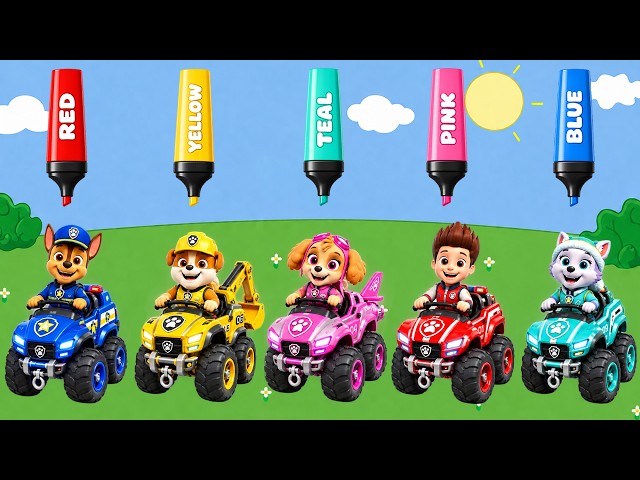PAW Patrol and Friends Color Learning, Shape Matching & Dress Up Play PAW Patrol's Special Series
