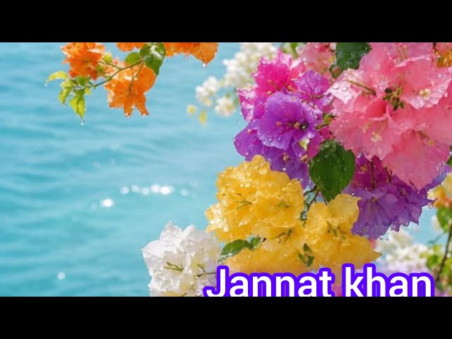 তুমি রহিম, তুমি রহমান 🤲🕋 | হৃদয়ছোঁয়া লাইভ গজল | Jannat Khan