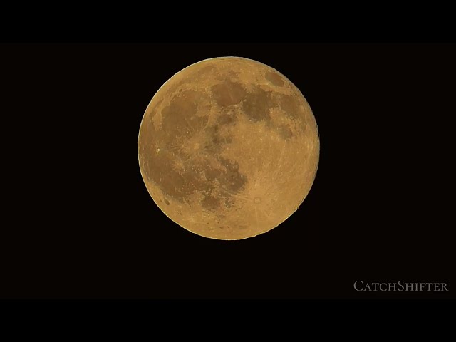 Harvest Moon Bird Migration 09.26.2026