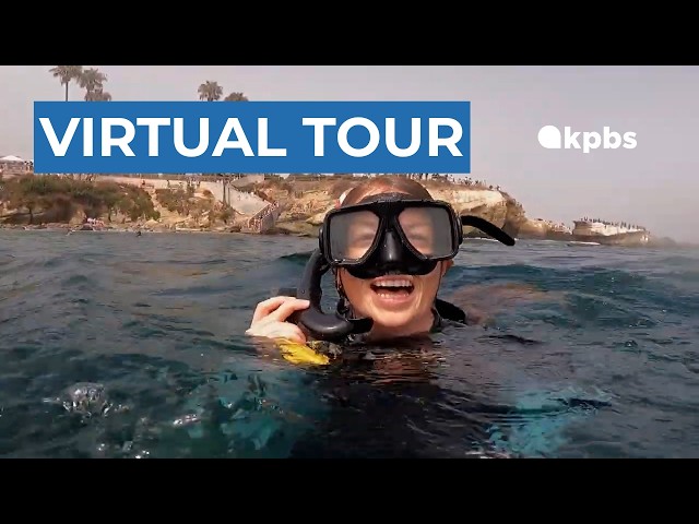 This virtual tour lets everyone see La Jolla's underwater park