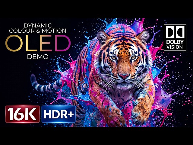 Wildlife Like Never Before | Extreme 8K HDR Nature Detail | OLED TV Test (8K/4K Video TV)