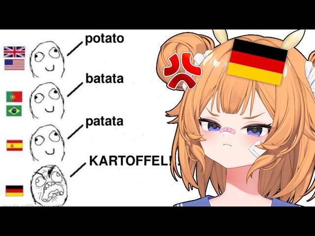 German Vtuber Reacts To Language Memes