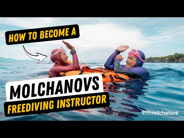 What Does It Take To Become a Molchanovs Instructor? Check This Before Taking a Freediving Course ✅