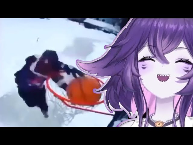 MEGALODON WATCHES MEME COMPILATIONS