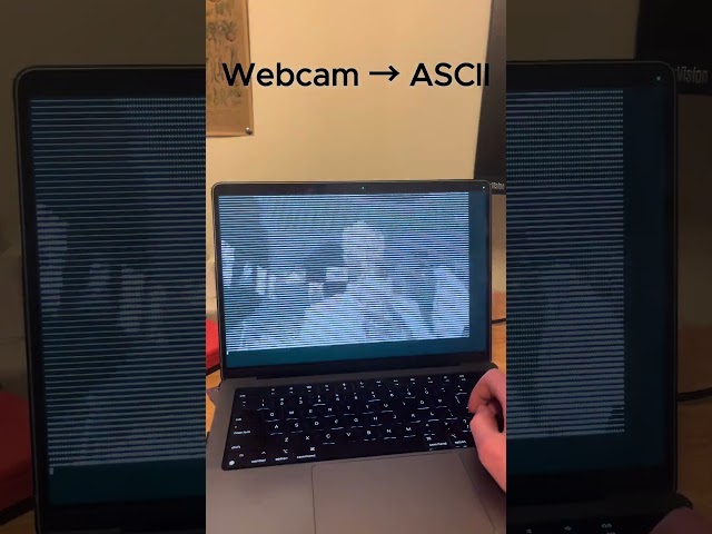 Converting live video feed to ASCII characters