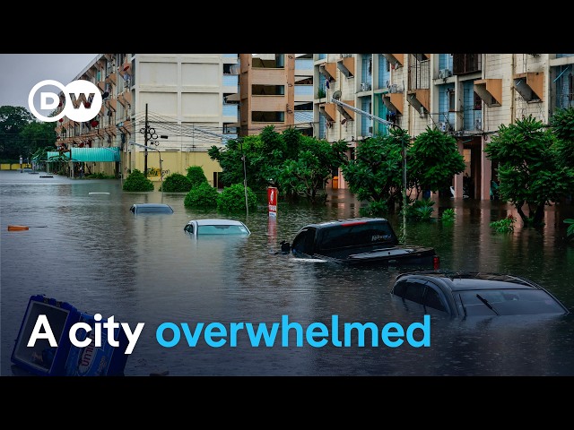 Bangkok flooded: Nearly 300mm of rain leaves Thai capital struggling | DW News