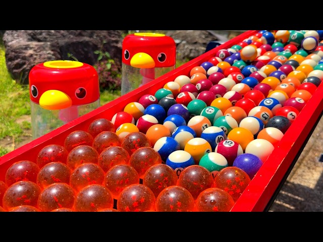 Marble Run ☆ Lots of Dragon Balls & Billiard Balls