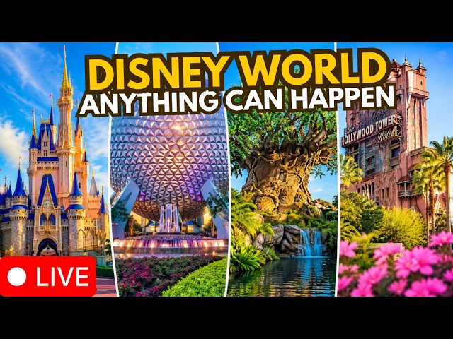 🔴 Live: Walt Disney World | Park Hopping, Resorts & Character Sightings | 09.15.2026